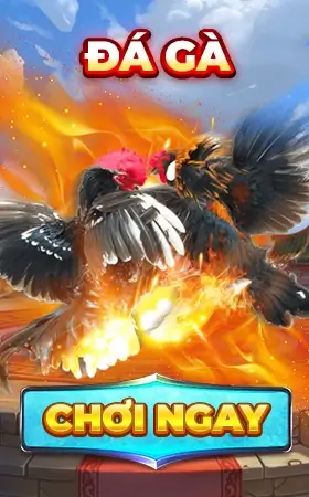 sảnh Game bài kubet